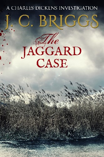 Book cover of The Jaggard Case